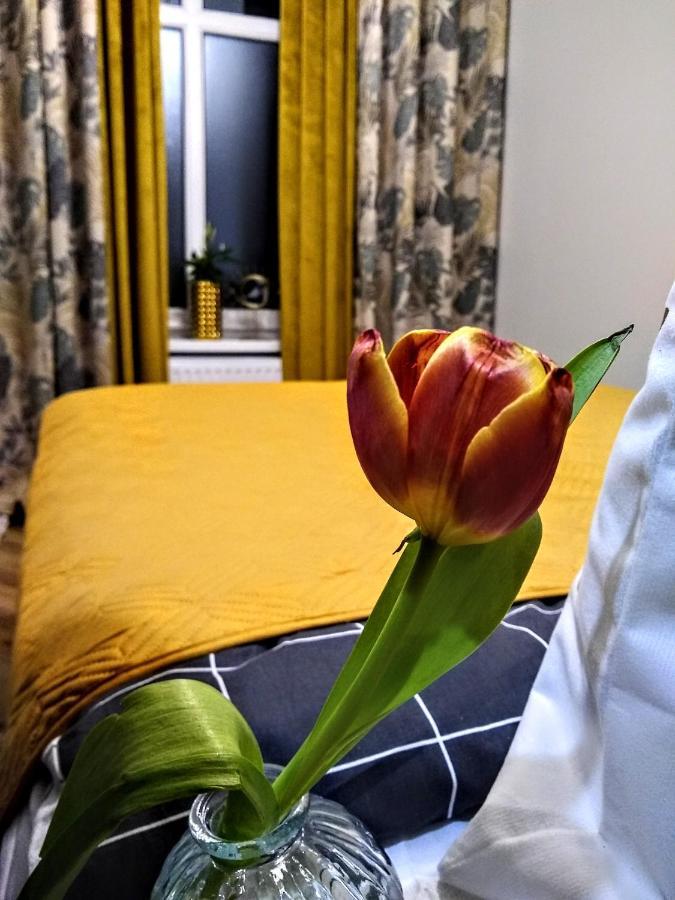 Evitadelux Slowackiego 50Mgaleria كاتوفيتسه المظهر الخارجي الصورة